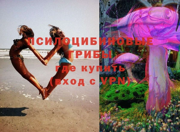 скорость Зеленодольск