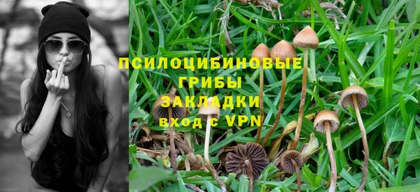 скорость Зеленодольск