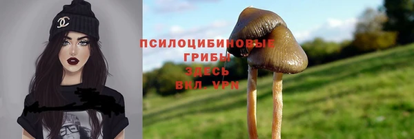 скорость Зеленодольск
