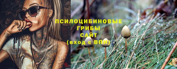 дживик Зерноград
