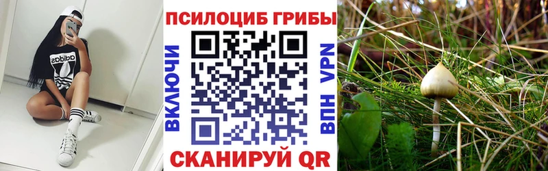 Псилоцибиновые грибы MAGIC MUSHROOMS закладка Черкесск